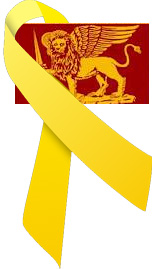 yellow-marco