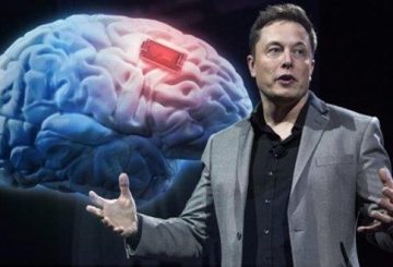 Elon-Musk-prima-interfaccia-uomo-macchina-disponibile-nel-2021