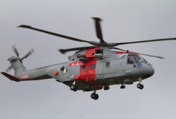 algerian_merlin_2_nov_2011_img1568v2