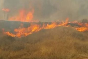 Kite-fires-in-southern-Israel-852x400