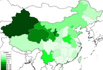 Islam_in_China,_with_0.2_(Yang_Zongde_2010)
