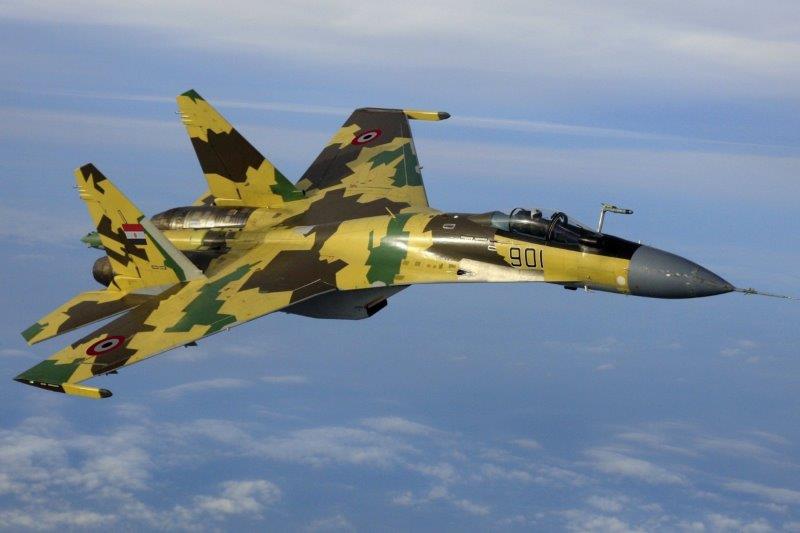 Su-35Elabor_Graph (002)