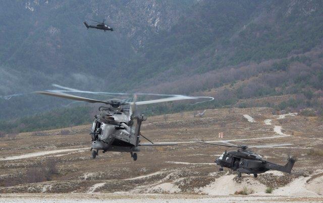 15 - UH-90 e AH-129 Mangusta durante un momento dell'esercitazione (002)