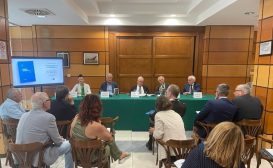 Forme del terrore: le nuove frontiere della radicalizzazione in Italia